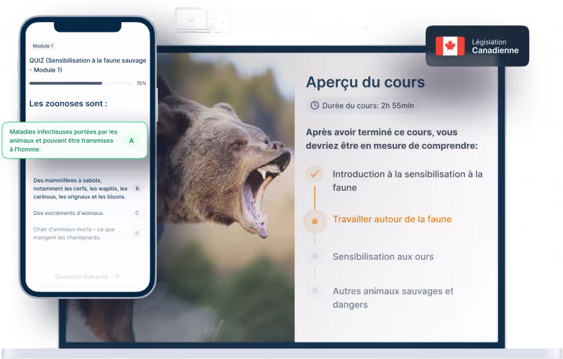 Image d'en-tête pour les services de consultation
