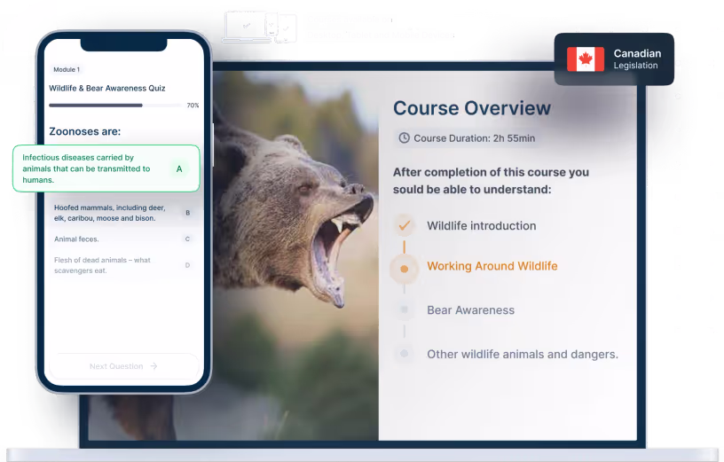 Header image for consultation services