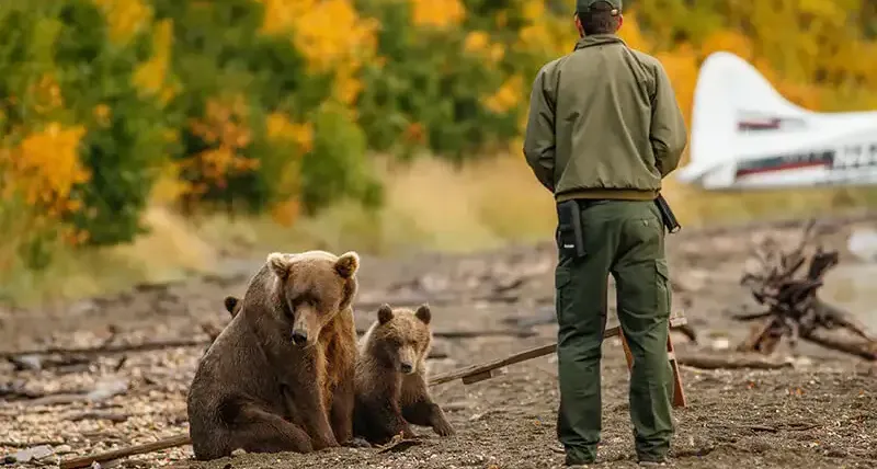 Blog image on Wildlife Awareness in Canada: Tips to Stay Safe in the Great Outdoors