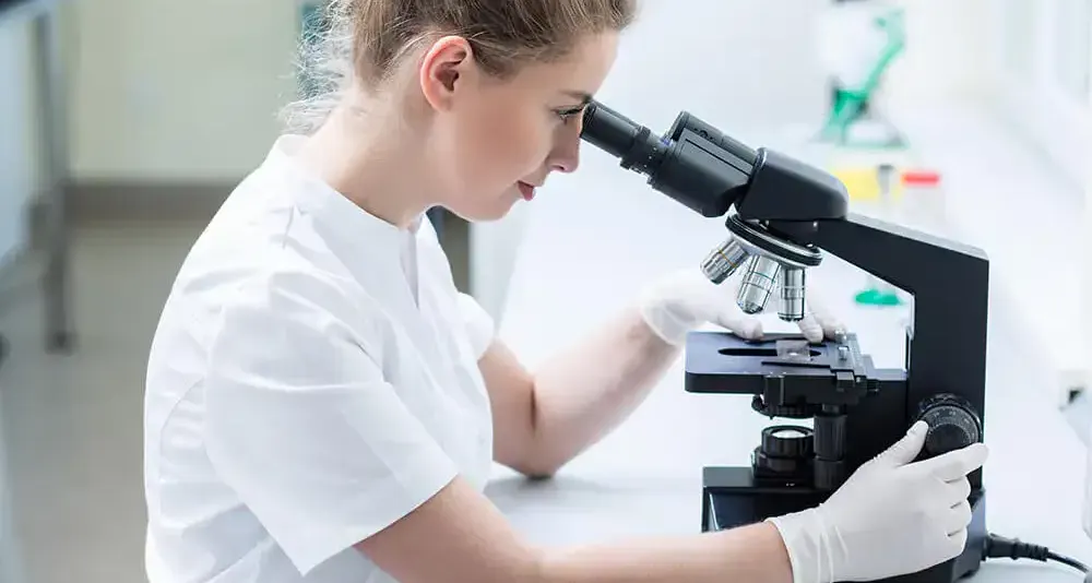 Blog image on Workshop, Biology, and Chemistry Education Safety