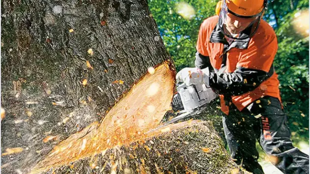 Chainsaw Safety Online Training course