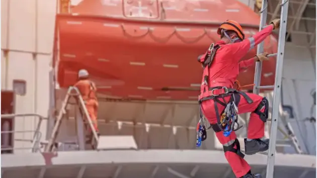 Ladder Safety Online Training course